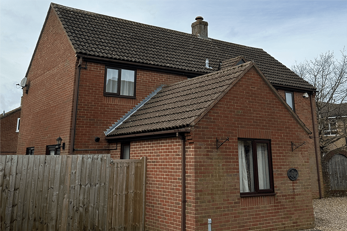 Roof before any treatment with moss growth