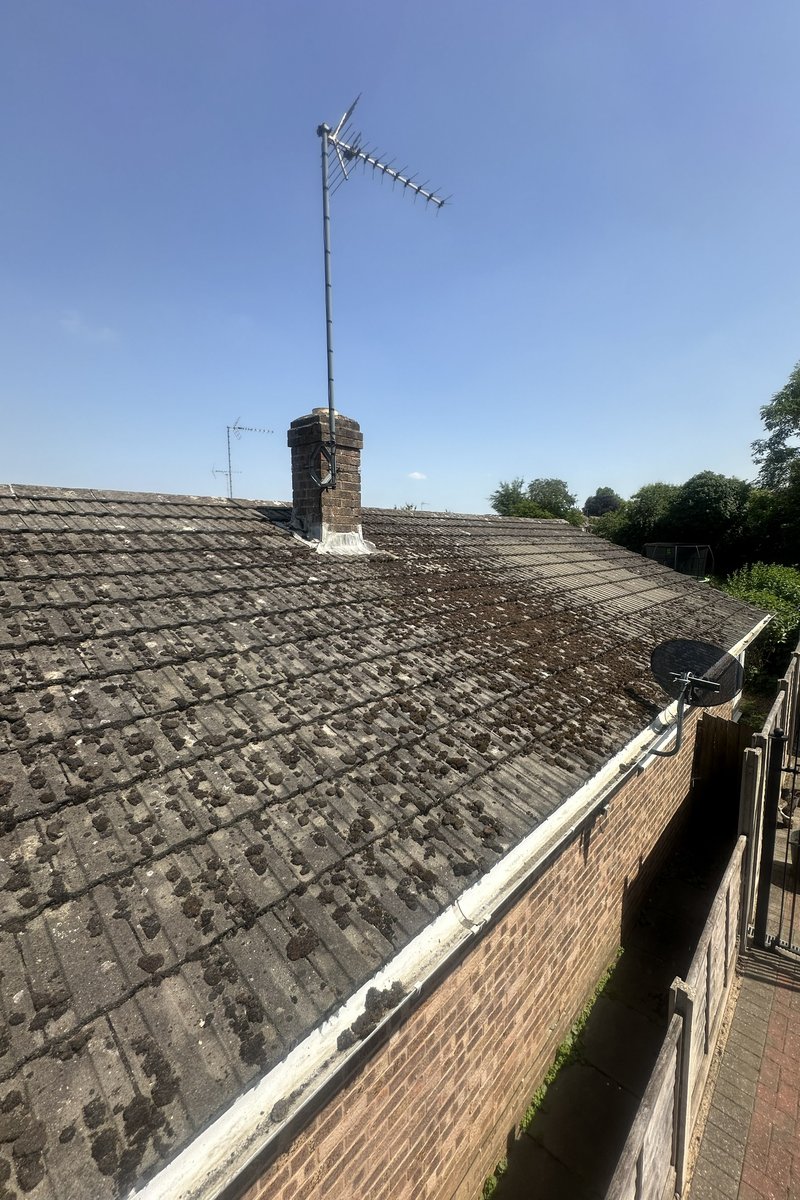 Roof cleaning project – Moss Removal