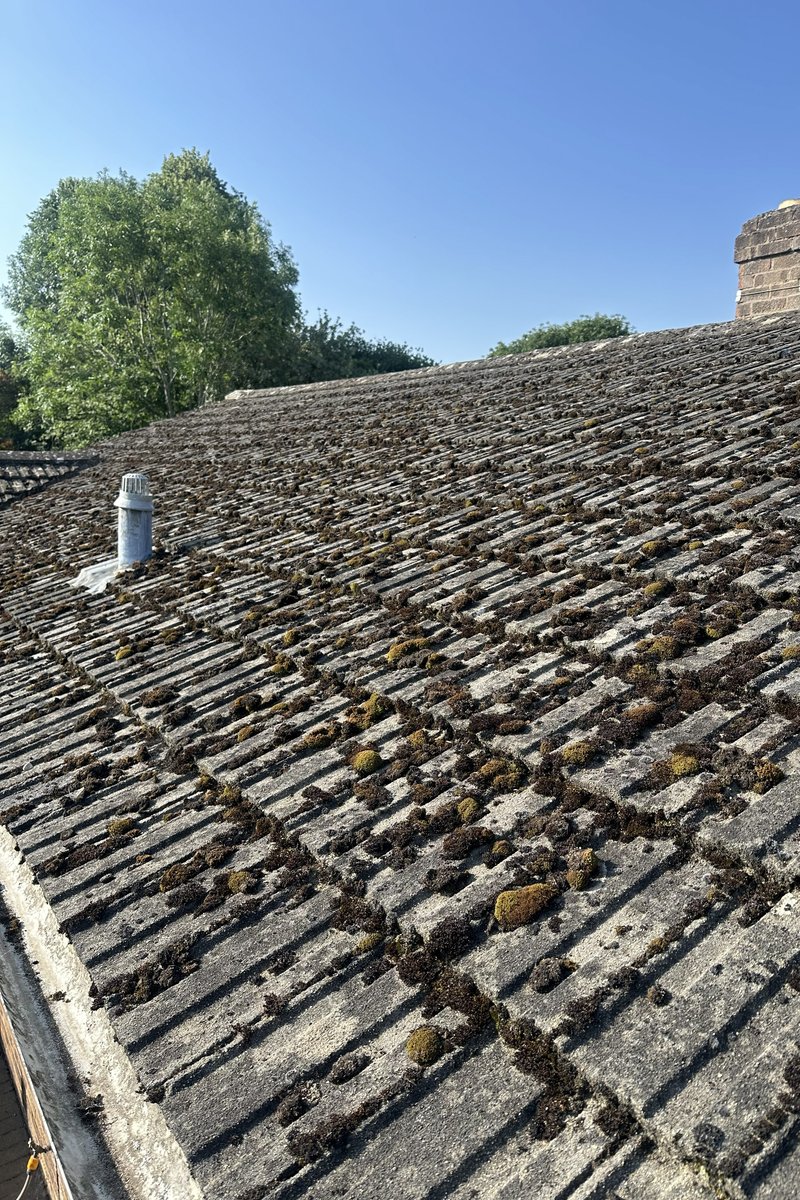 Roof cleaning project – Moss Removal