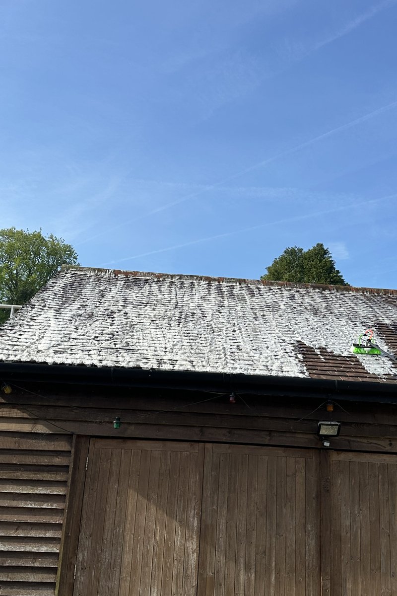 Roof cleaning project – Moss & Lichen Treatment