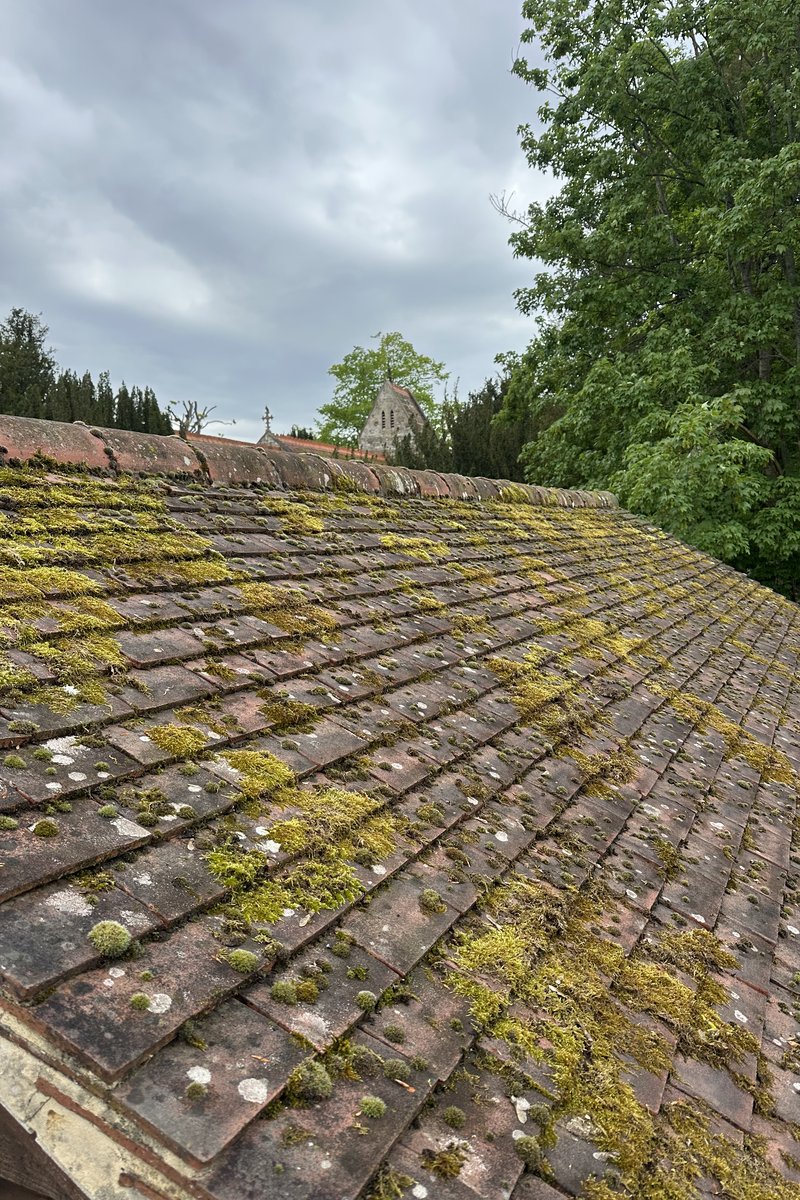 Roof cleaning project – Moss Removal