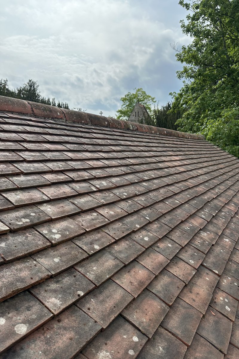 Roof cleaning project – Moss Removal