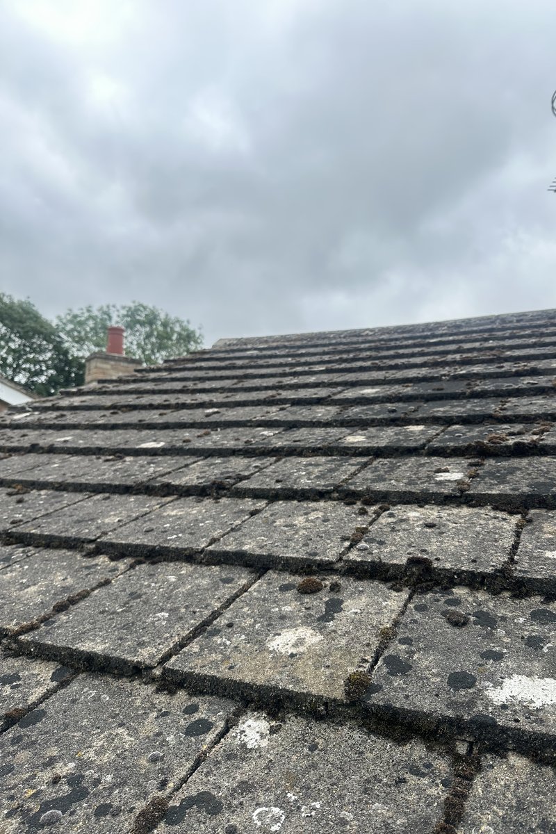 Roof cleaning project – Moss Removal