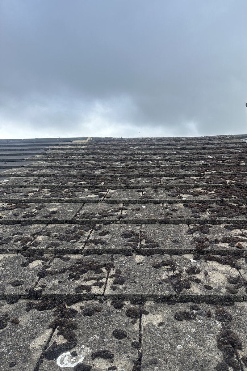 Roof cleaning project – Moss Removal