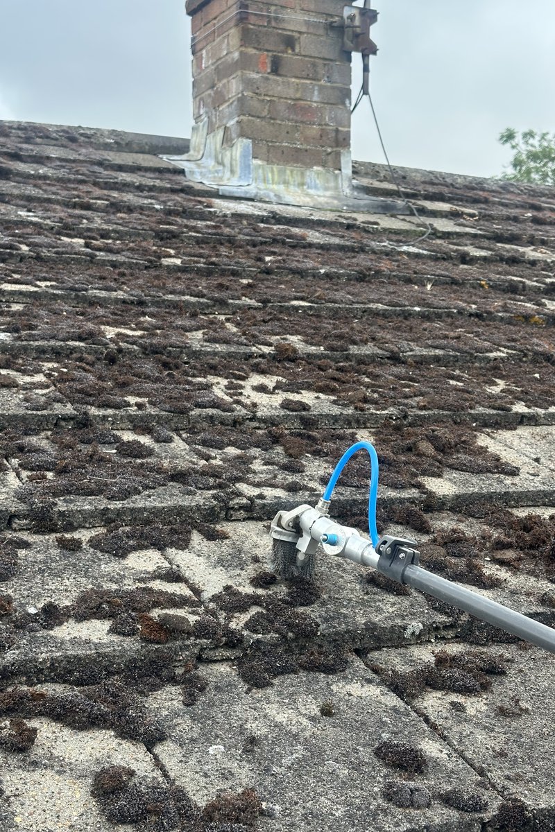 Roof cleaning project – Moss Removal