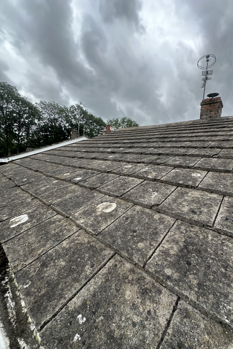 Roof cleaning project – Moss Removal