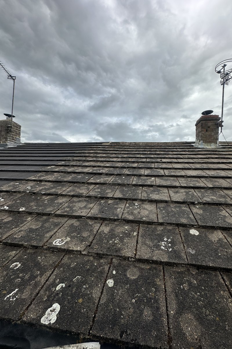 Roof cleaning project – Moss Removal