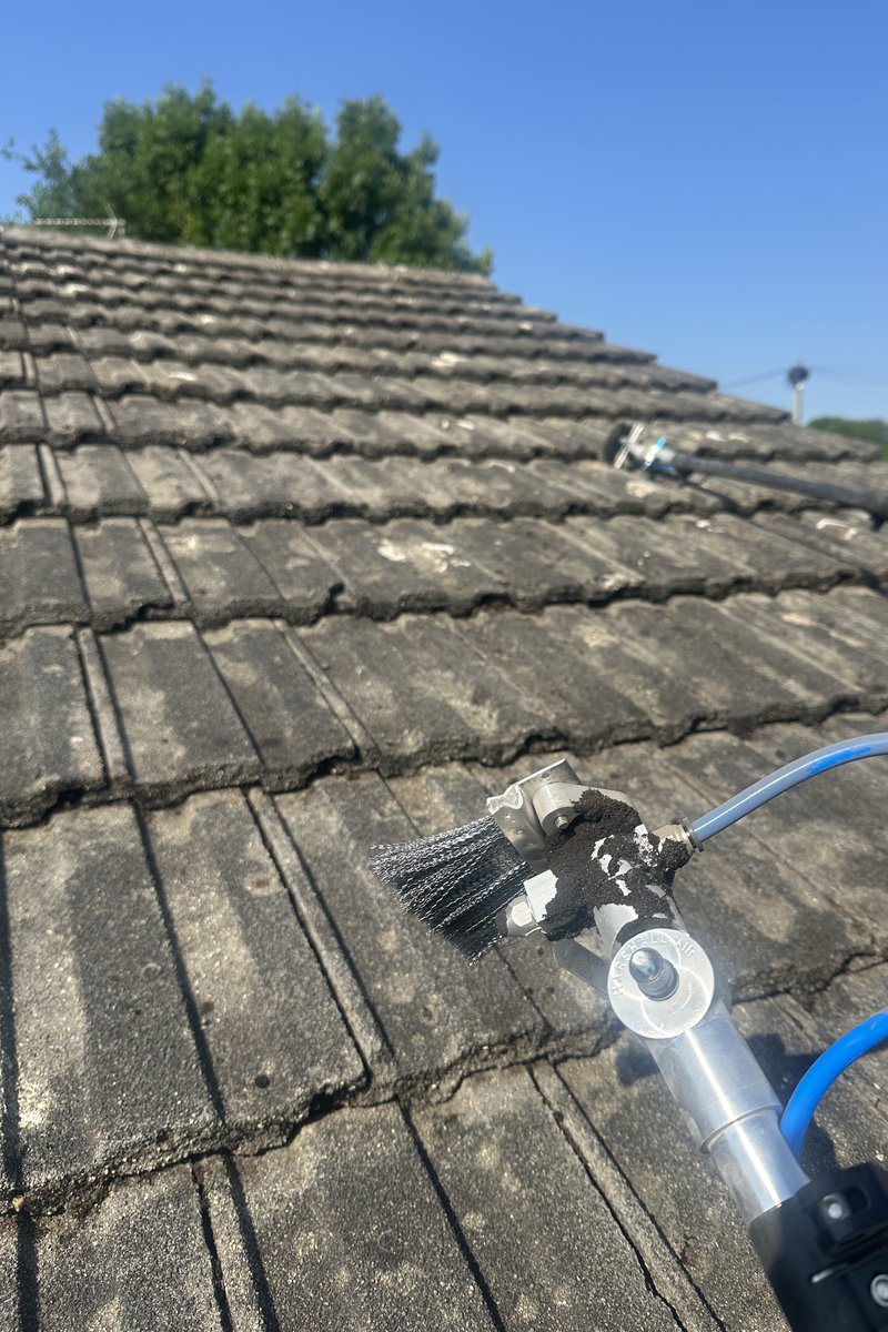 Roof cleaning project – Moss Removal