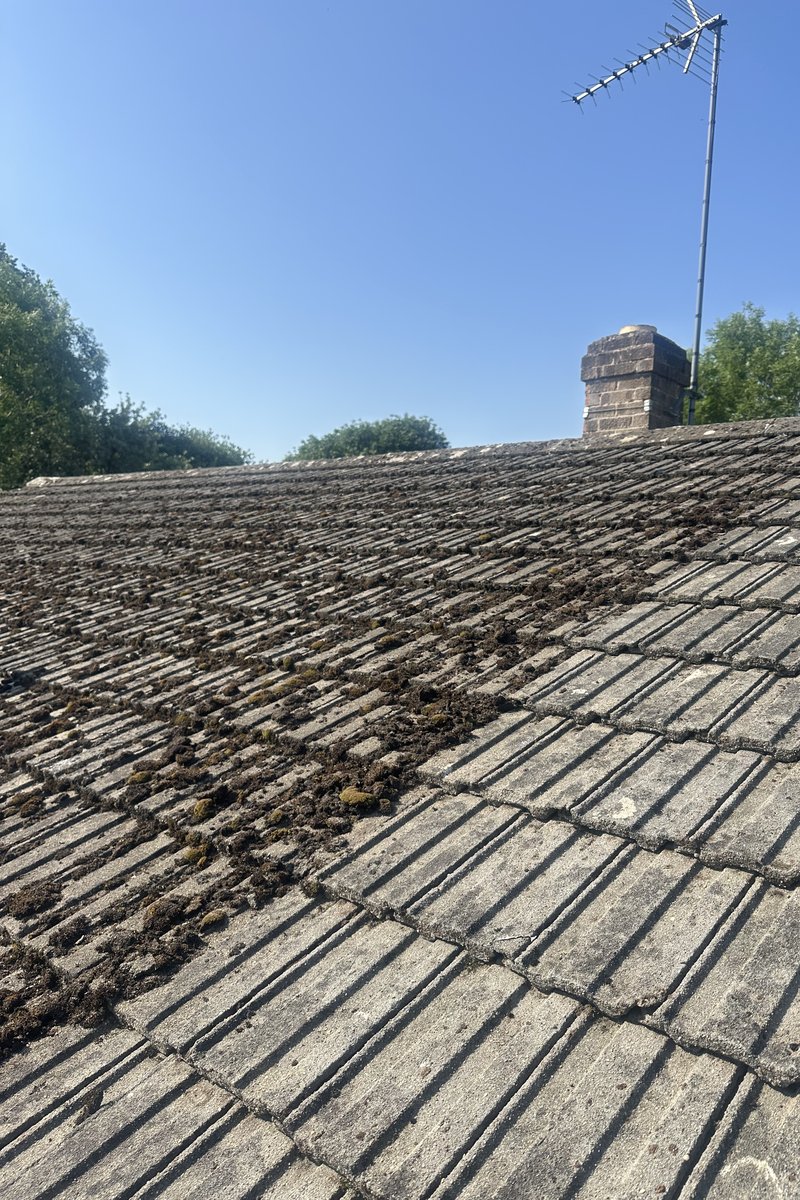Roof cleaning project – Moss Removal
