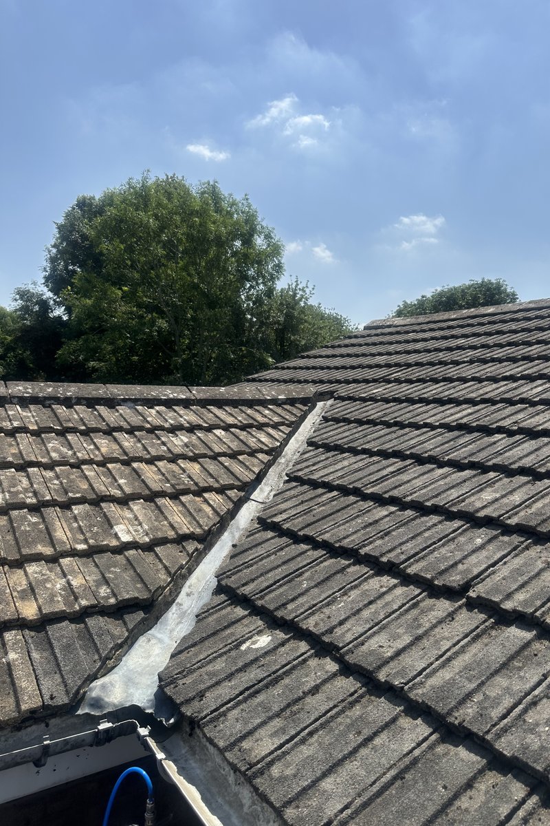 Roof cleaning project – Moss Removal