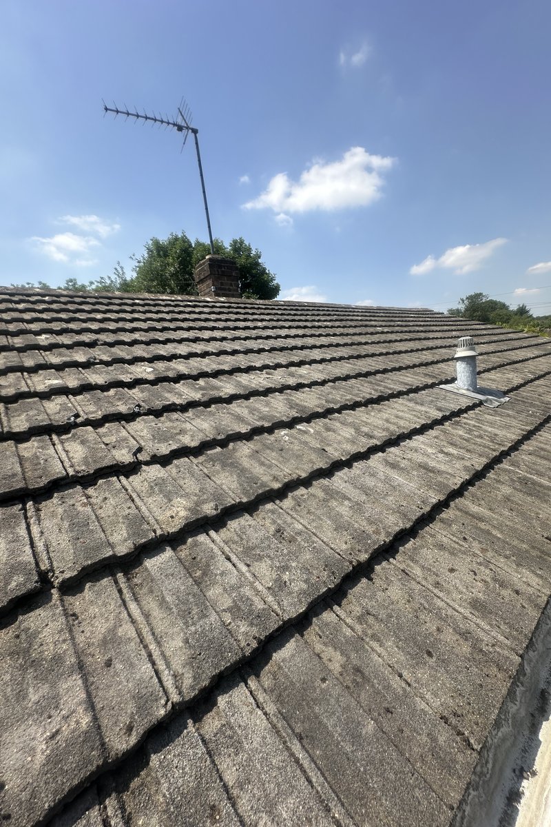Roof cleaning project – Moss Removal