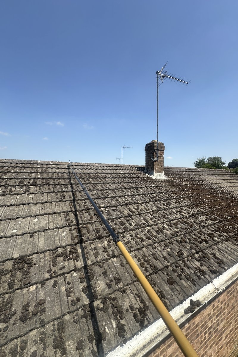 Roof cleaning project – Moss Removal