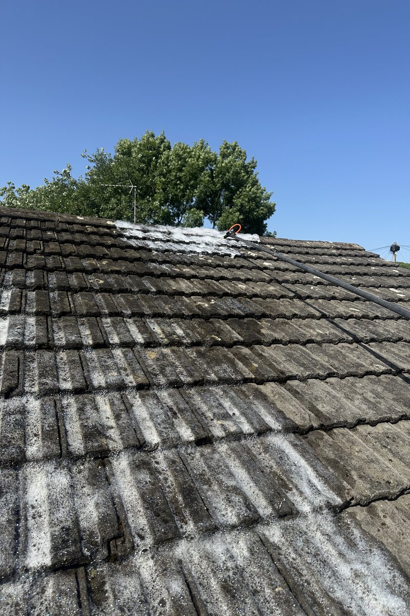 Roof cleaning project – Moss & Lichen Treatment