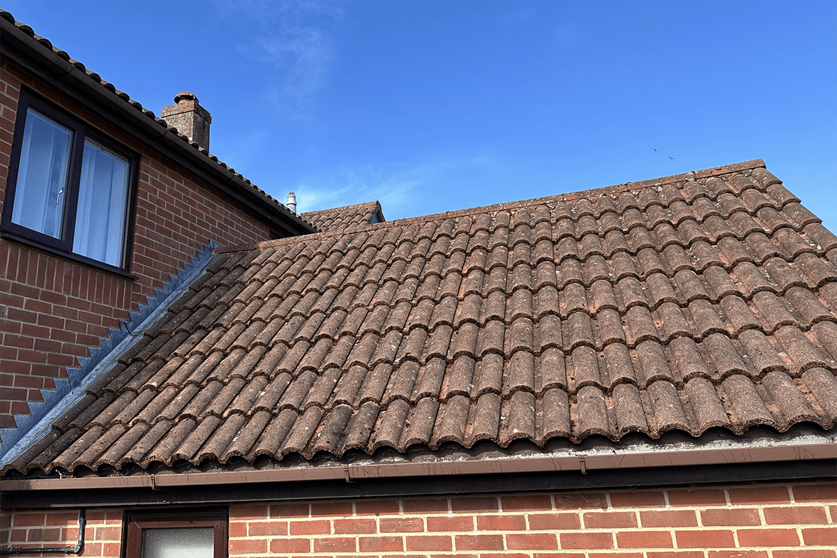 Roof cleaning project – Moss Removal