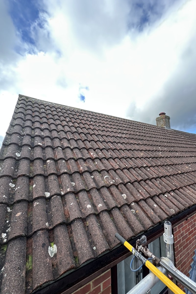 Roof after moss removal with clean restored tiles