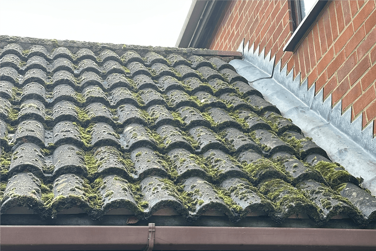 Roof cleaning project – Moss Removal