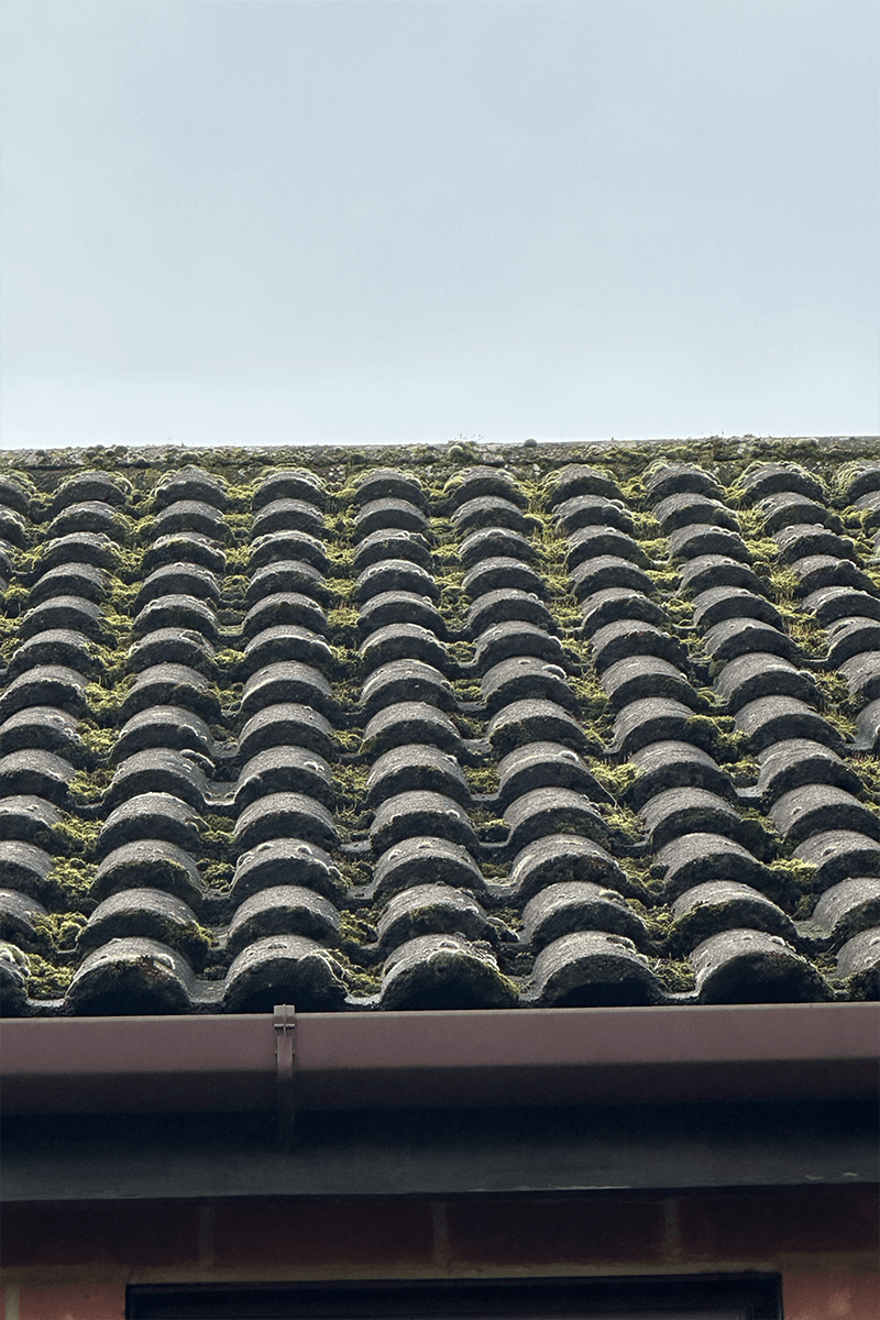Roof cleaning project – Moss Removal