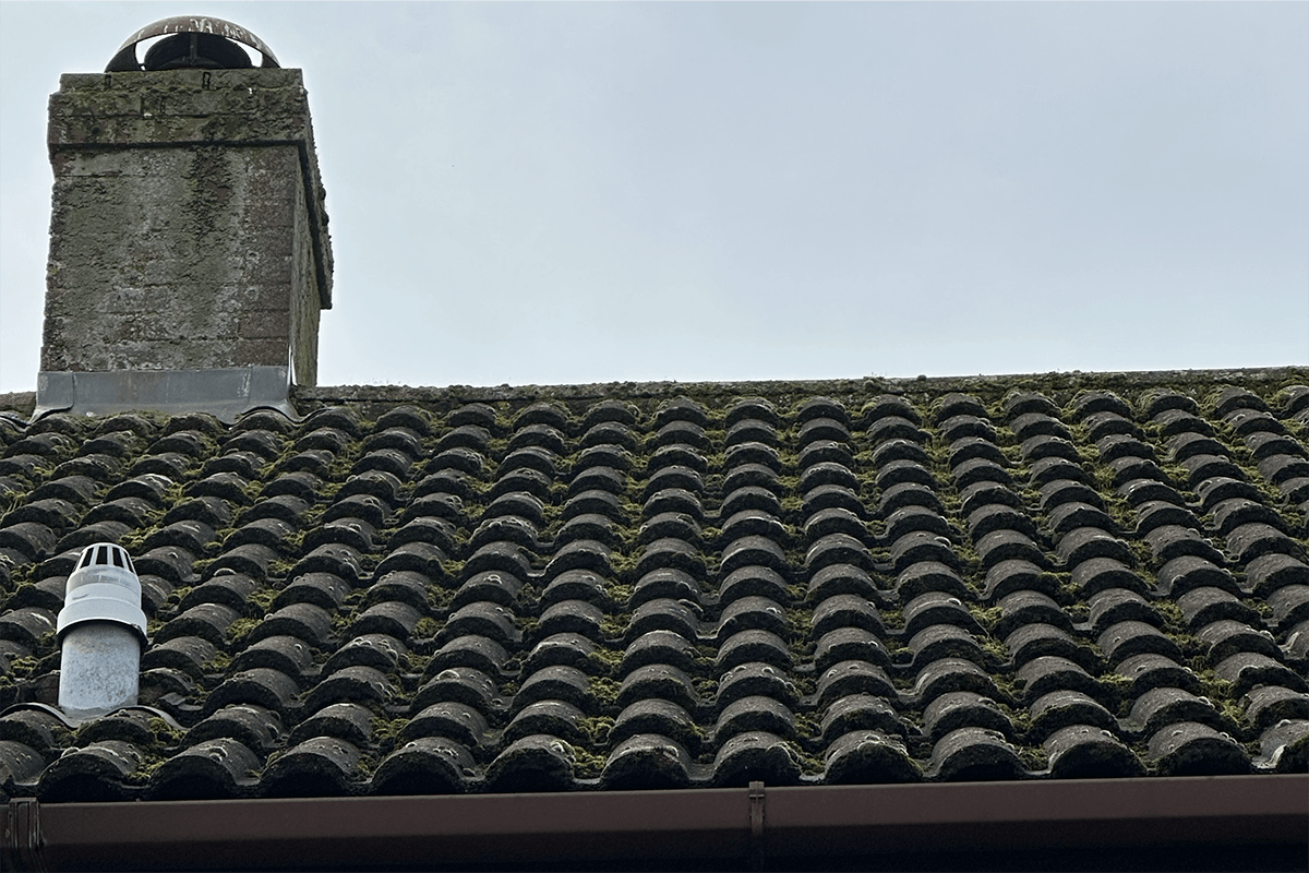 Roof cleaning project – Moss Removal
