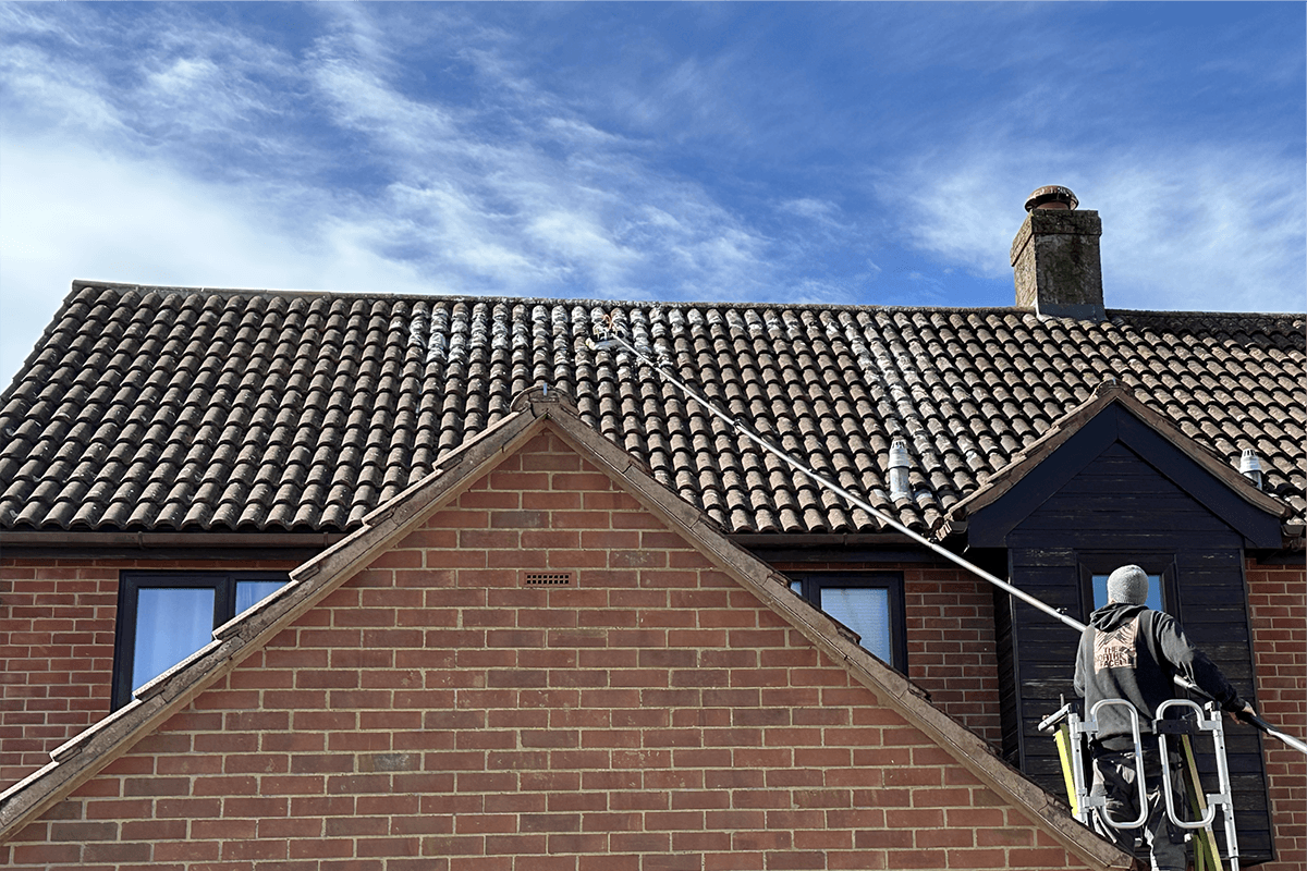 Roof cleaning project – Moss & Lichen Treatment