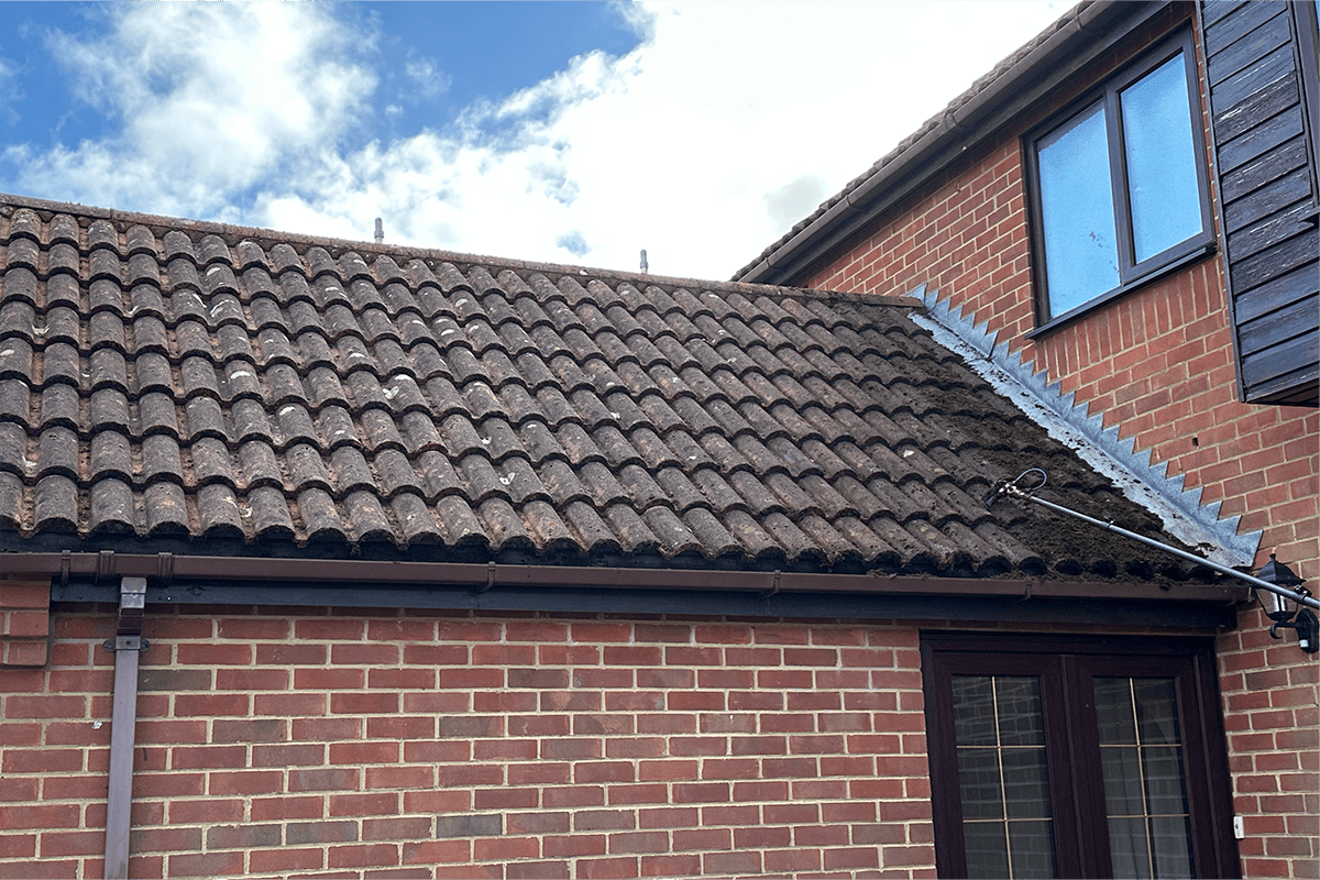 Roof cleaning project – Moss Removal