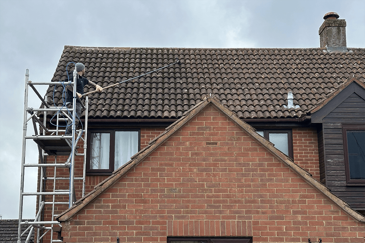 Moss removal using hand tools